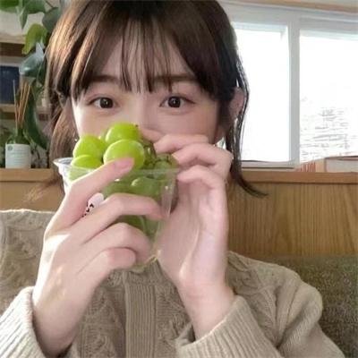 春海报