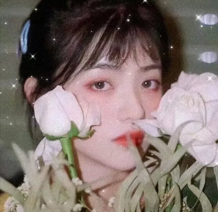 杀木池海报