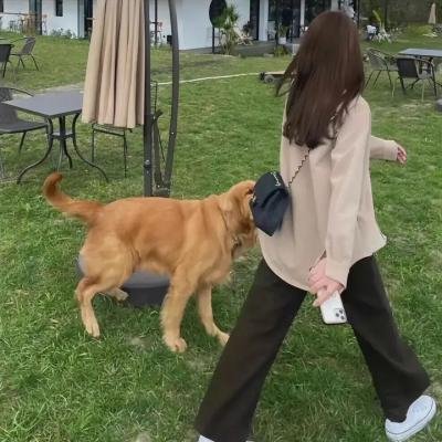 苏晓萌明星照片